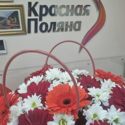 С Днем Учителя!